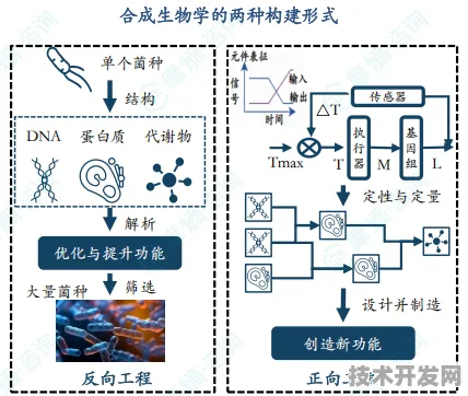 三星合成生物学革命，新药研发成功率92.8%跃升背后的技术密码与未来医疗范式重构
