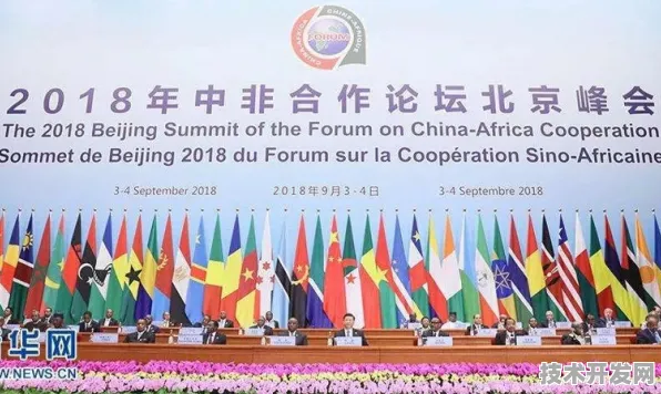 10992人共绘未来消费蓝图，海东新型消费国际峰会释放303项合作动能，2026年虚拟试衣市场或突破8700亿