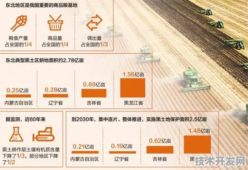 2025年9月19日，黑龙江智慧农业产值突破7899.5亿，绥化如何用数字田埂改写农业未来？