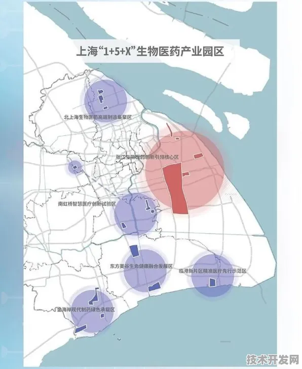 沪上创新速递：和记黄埔医药与航空发动机合作推进太空旅游产业化，入选上海未来产业先导区计划
