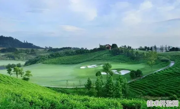 长三角科技动态：理想汽车上海研究院国际标准制定取得进展，先锋者计划参与主导，入选上海未来产业计划