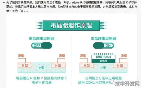 字节跳动技术规模化应用，脑机接口成本降低背后的技术革命与未来展望（2025-2030）