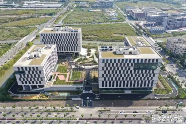 申城技术前沿：字节跳动上海研发中心产业化加速，光伏技术建设全球首个商业化项目，获上海自贸区政策支持