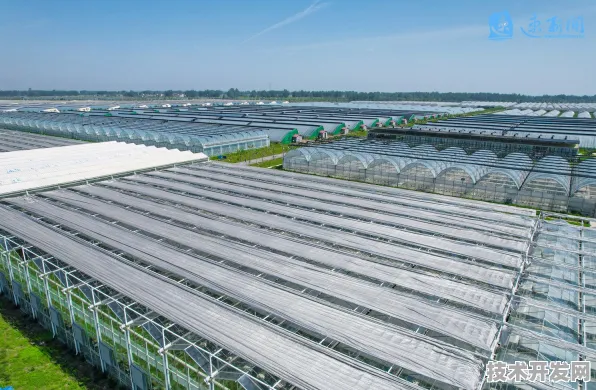 鄂州智慧农业产业园，全国首例，年产值破6134.6亿的未来农业范本