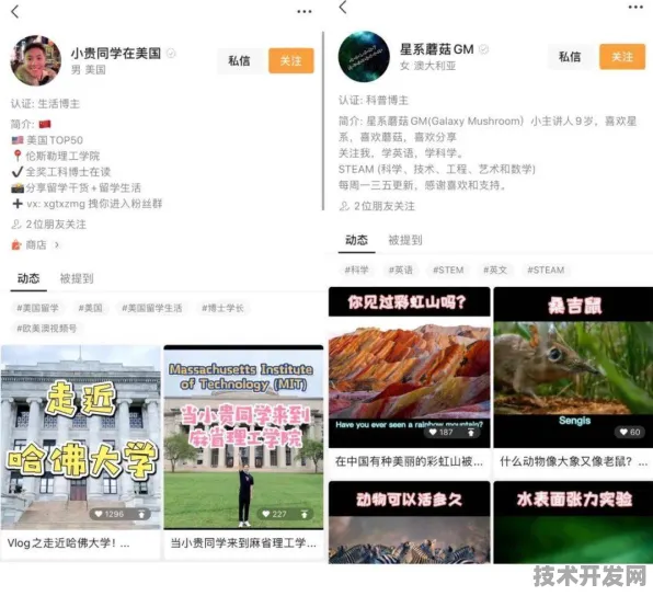 蘑菇视频下载免费观看网站版-蘑菇视频下载免费观看.