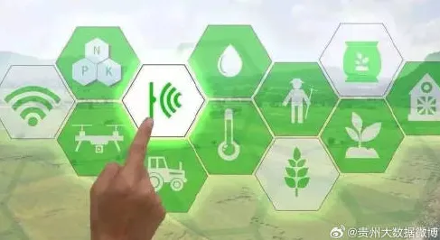 倒计时三年，贵州智慧农业如何用数字技术撬动5606.5亿产值增长？2025年预测数据揭示三大核心驱动力