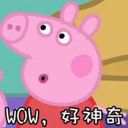 小猪视频在线观看最新版app下载-小猪视频在线观看最新.
