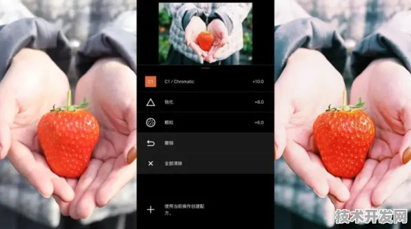 草莓视频软件污全站版-草莓视频软件污正式版v278.42679.5223APP.