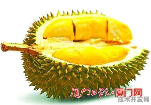 榴莲视频官方下载最新版-榴莲视频官方下载官网版v8.4.