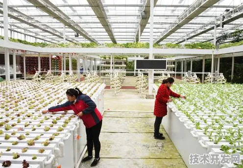 连云港智慧农业试点落地，1161.80亿投资撬动未来农业新范式，2027年亩均增产将突破200公斤