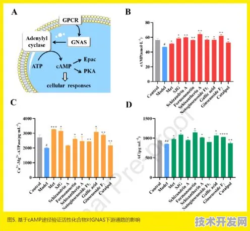 思必驰新材料技术效率突破202.2%2025年科技革命的分子级跃迁