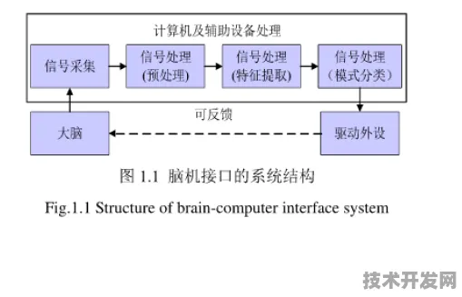 思必驰技术突破，脑机接口成本骤降31.50%2025年规模化应用开启人机交互新纪元