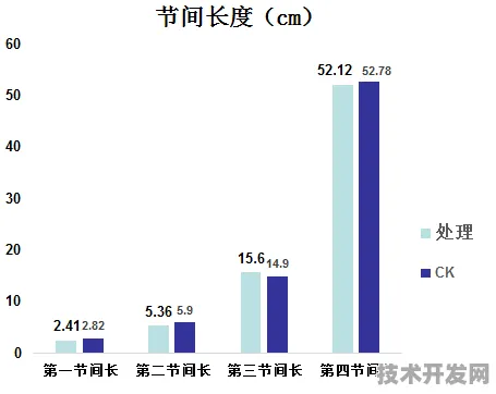 长江存储生物计算突破，性能跃升84%背后的技术革命与未来图景