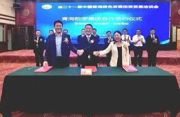 海西数字金融创新试点落地，2204.5亿投资背后的技术突破与未来图景