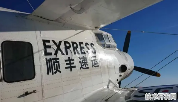 延安低空经济投资增长8.2%背后的未来图景，2030年无人机物流覆盖全市，农业效率提升30%