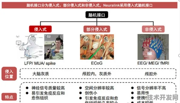 Anthropic新型脑机接口效率飙升266.9%2025技术突破与未来应用全景解析
