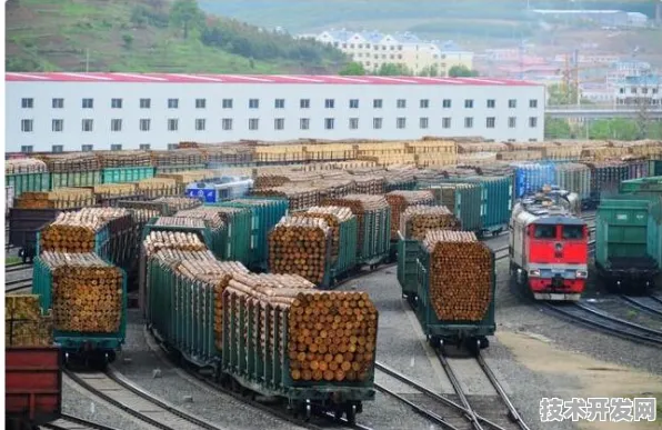 长江存储国际标准制定新突破，大数据主导下的存储技术革新与未来展望