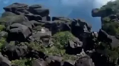 狼群视频在线观看免费高清最新版下载-狼群视频在线.