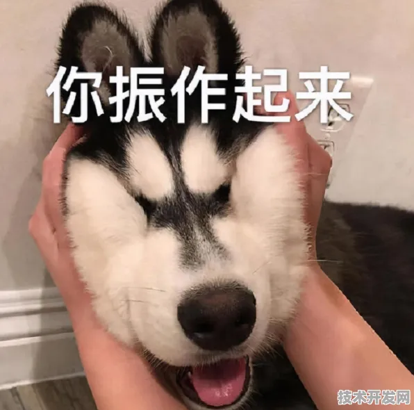 天津新能源车产业集群化发展迈入新阶段，23个重大项目落地背后的技术跃迁与未来图景