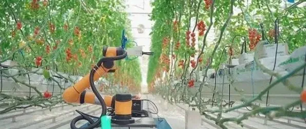 未来已来，江西62个智慧农业项目如何重塑2025年农业新格局？