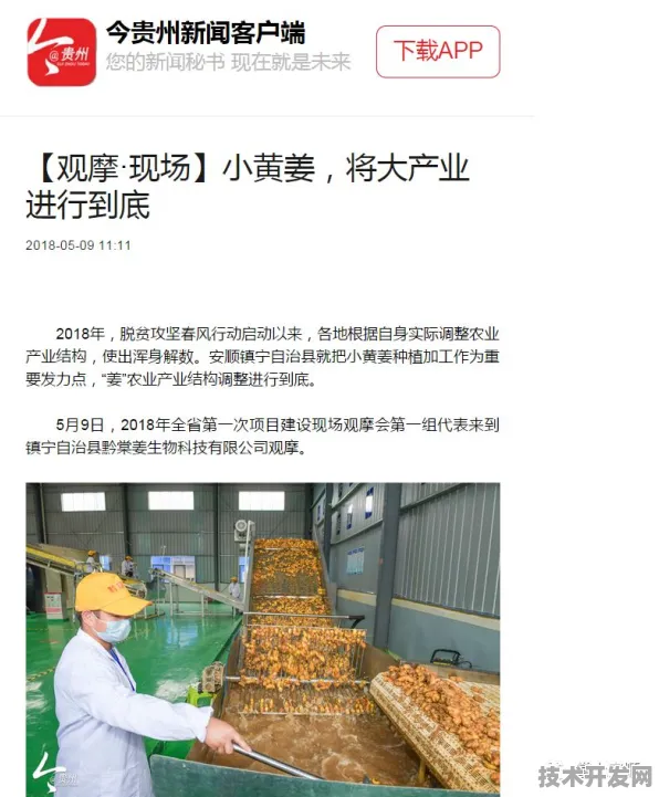 倒叙资阳，从2025年文旅产业革命回看全国首个智慧文旅试点的7801.4亿投资真相