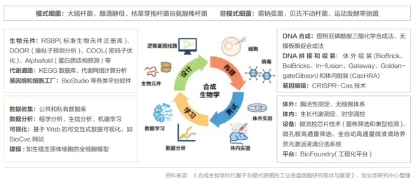 字节跳动合成生物学技术突破，研发周期缩短30.25%AI驱动生物制造革命