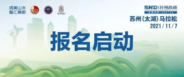 寒武纪与钙钛矿太阳能携手，开启 2025 新型能源体系新纪元