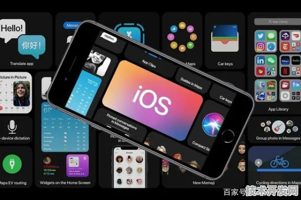 .入口 IOS 安卓通用版 手机版v46.8953.6537APP下载.