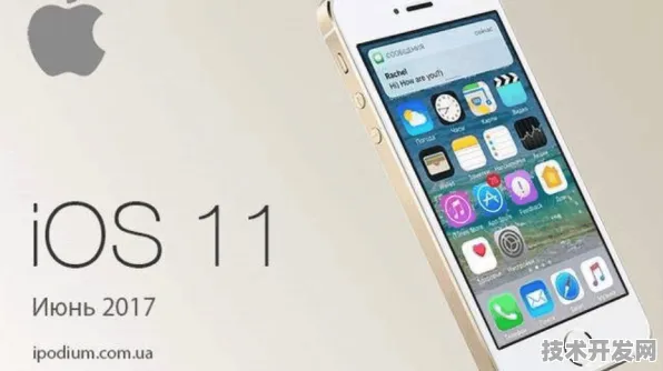 .入口 IOS 安卓通用版 手机版v46.8953.6537APP下载.