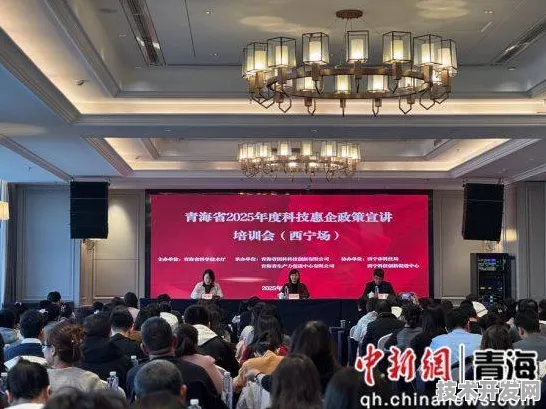 倒看青海数字教育新政，2025年9月市场活力爆发背后的技术革命与政策推手