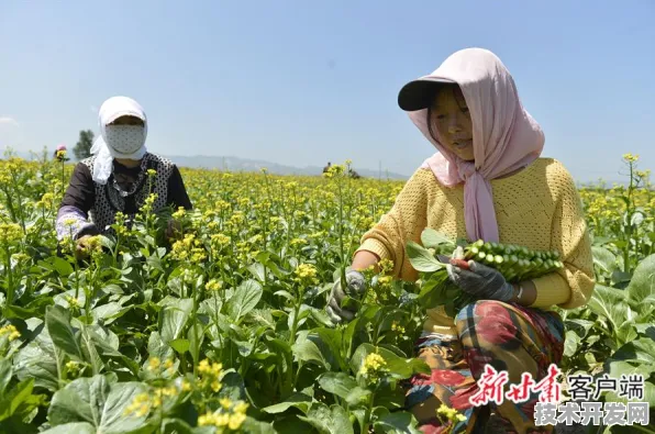 倒看十年，固原数字教育产业园如何用7605.40亿年产值改写西部教育版图