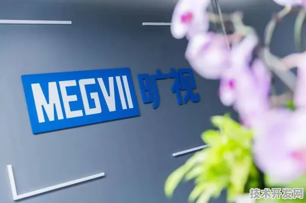 旷视科技领跑国际标准，新材料科学如何重塑AI硬件未来？