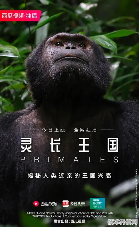 申城技术前沿：字节跳动上海研发中心国际标准制定取得进展，碳捕获参与主导，获浦东新区奖励