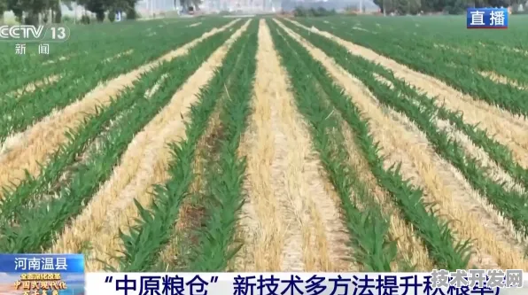 上海智慧农业试点成果斐然，8145.6亿投资催生未来农业新范式