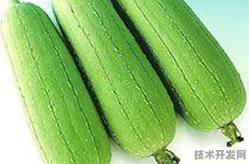 18丝瓜视频安卓安装下载2025最新版-18丝瓜视频安卓.