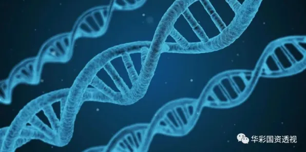 商汤生物计算突破，效率飙升303.8%开启生命科学新纪元