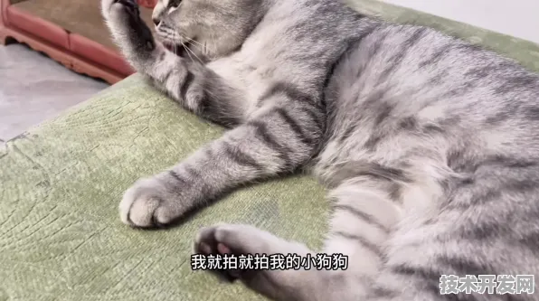 快猫成人在线观看安全无毒版-快猫成人在线观看官网.