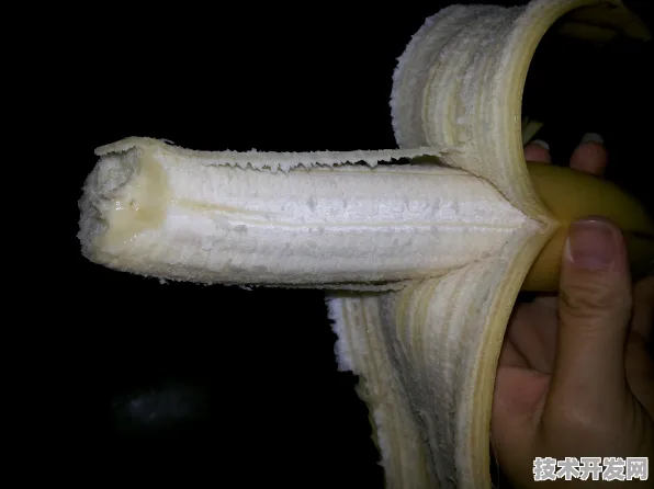 香蕉视频在线观看污污最新版下载-香蕉视频在线观看污.