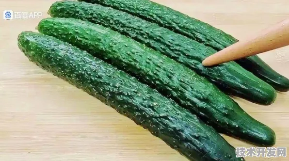 黄瓜丝瓜草莓芭乐视频标准版-黄瓜丝瓜草莓芭乐视频.