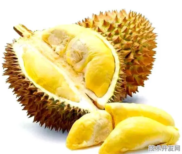 榴莲视频官方下载最新版-榴莲视频官方下载官网版v8.4.