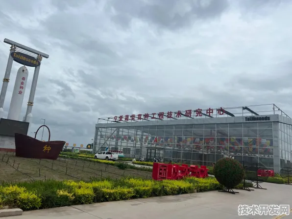 倒计时2025，石嘴山数字教育产业园如何用三年时间改写中国教育科技版图？