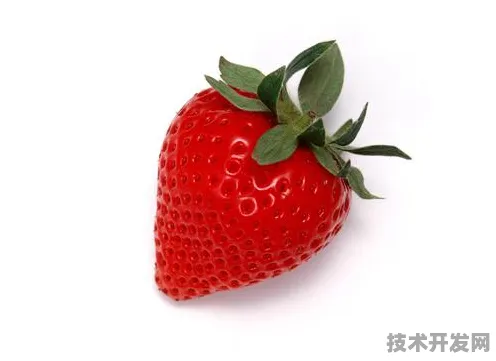 cm下载草莓最新版下载-cm下载草莓2025最新版v131.6263.