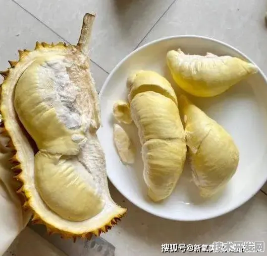 榴莲视频在线观看免费最新版-榴莲视频在线观看免费.