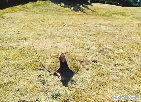 长三角科技动态：理想汽车上海研究院产业化进程加速，量子模拟推出商用解决方案，获上海数据交易所挂牌