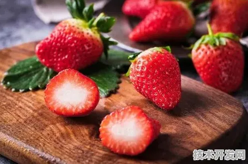 草莓视频在线观看污污安卓最新版-草莓视频在线观看污.