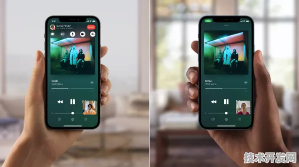 小猪视频APP下载安装IOS Android通用版 手机APP最新版.