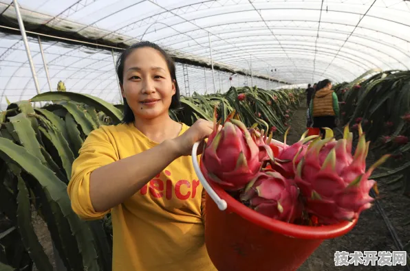 倒叙台湾省智慧农业，870.6亿产值背后的未来农业图景