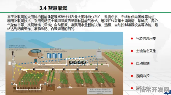 2025台湾智慧农业革命，政策驱动下的技术跃进与市场重构实录
