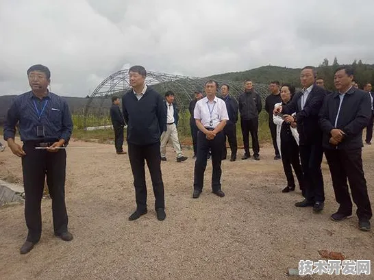 河北数字教育新篇章，167个重大项目如何重塑未来教育生态？